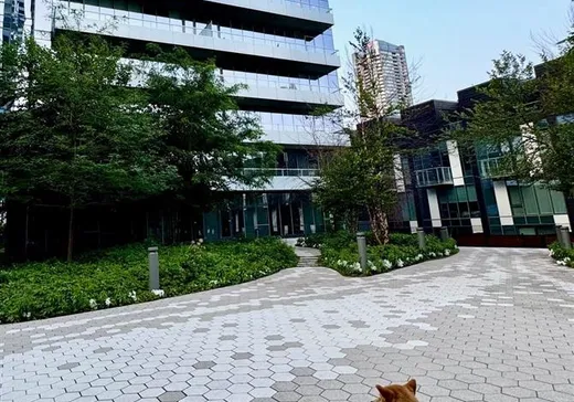 Condo à vendre - 1400 Boul. René-Lévesque O., App. 201B, Montréal (Verdun), H4G 1T6