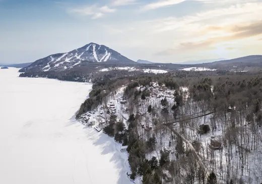 House for sale - 65 Ch. Carlton-Oliver, Mansonville, J0E 1X0