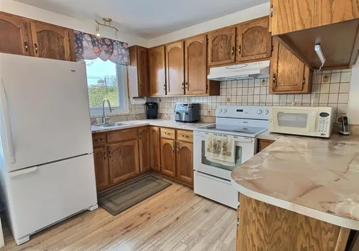 Maison à vendre - 846 Rue des Pinsons, Victoriaville, G6T 1C6