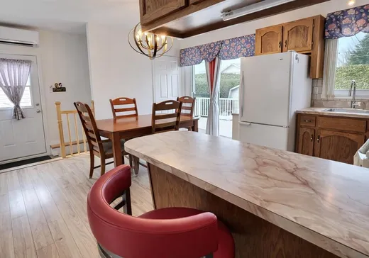 Maison à vendre - 846 Rue des Pinsons, Victoriaville, G6T 1C6