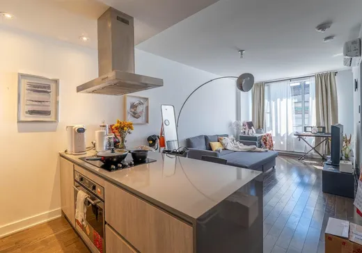 Condo à vendre - 1211 Rue Drummond, App. 403, Montréal (Centreville), H3G 0E6