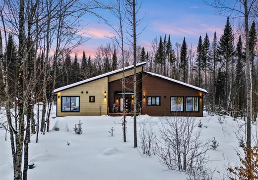 House for sale - 169 Ch. du Printemps, St-Remi-D'Amherst, J0T 2L0