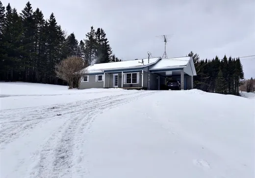 House for sale - 2 11e Rang, Sainte-Aurélie, G0M 1M0