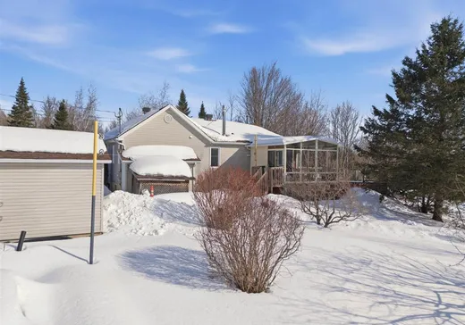 Maison à vendre - 35 Rue de l'Intimité, Eastman, J0E 1P0