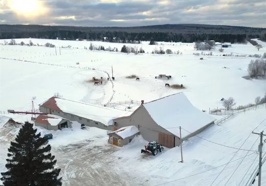 Hobby Farm for sale - 2121 Route 161, Lac-Mégantic, G0Y 1G0