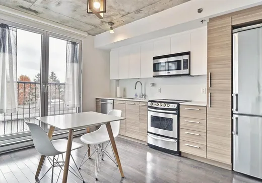 Condo for sale - 2118 Rue St-Dominique, App. 309B, Montreal (Downtown), H2X2X3
