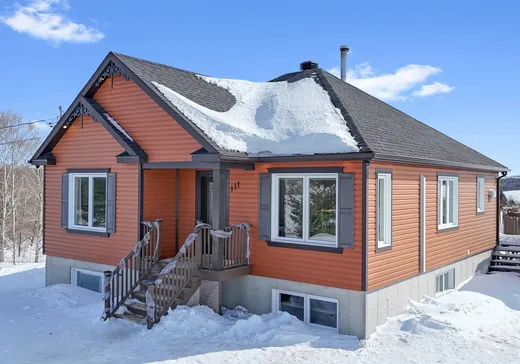 Maison à vendre - 111 Ch. St-Joseph, Pont-Rouge, G5N 5E5