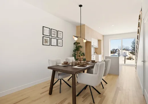 House for sale - 2062 Rue des Mélèzes, Saint-Bruno-de-Montarville, J3V 6M9