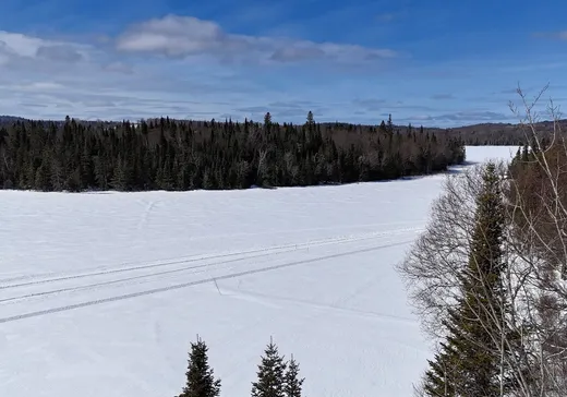 Maison à vendre - 295 Rue Lac-La Tuque, La Tuque, G9X 0A4