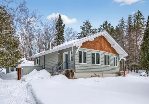 Un étage et demi à vendre - 80 Ch. du Parc, Mont-Tremblant, J8E1V8
