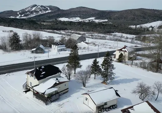 Maison à vendre - 1694 Route 277, Lac-Etchemin, G0R 1S0