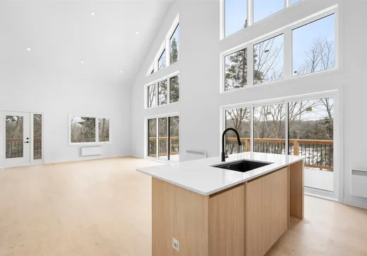 Maison à étages à vendre - 101 Allée de la Nature, Sainte-Marguerite-du-Lac-Masson, J0T1L0