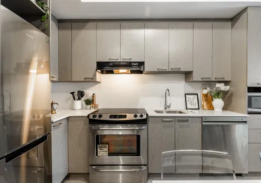 Condo for sale - 1150 Rue St-Denis, App. 707, Montreal (Downtown), H2X 0B3