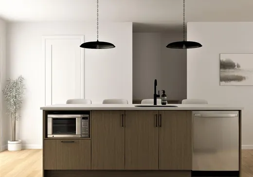 Maison à vendre - 976 Rue du Seyval, Sherbrooke, J1L 0A2