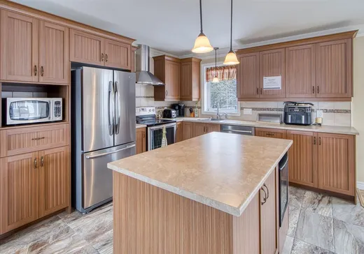 House for sale - 91 Rue Métivier, Victoriaville, G6T 0Z8