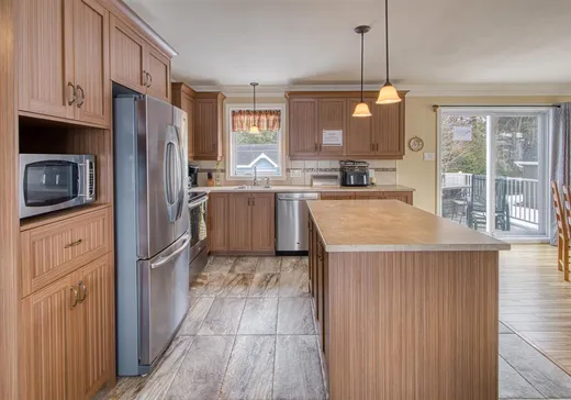 House for sale - 91 Rue Métivier, Victoriaville, G6T 0Z8