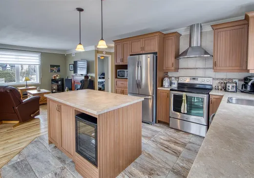 House for sale - 91 Rue Métivier, Victoriaville, G6T 0Z8