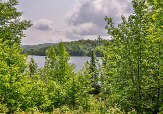 Maison à vendre - 860 Rue du Chemin-de-Fer, Wentworth, J0T 1Y0