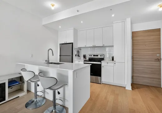 Condo à vendre - 1400 Rue Ottawa, App. 506A, Montréal (Centreville), H3C 0Y9