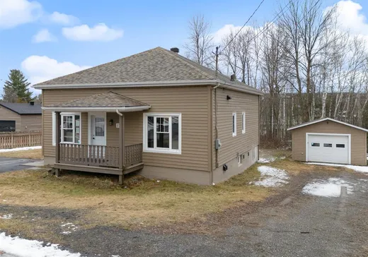 Maison à vendre - 57 Rue du Michigan, Magog, J1X 3T3