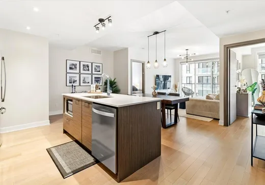 Condo à vendre - 1400 Rue Ottawa, App. 423A, Montréal (Centreville), H3C0Y9