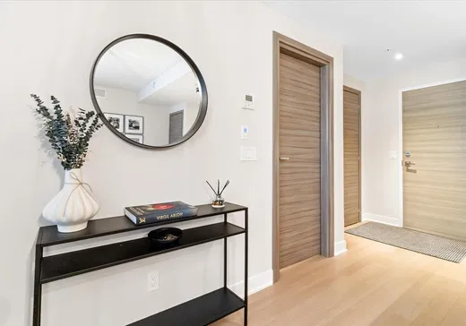 Condo à vendre - 1400 Rue Ottawa, App. 423A, Montréal (Centreville), H3C 0Y9