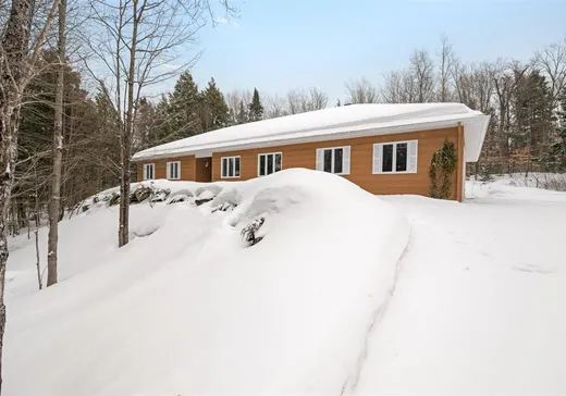 Maison à vendre - 63 Ch. des Papillons, Ste-Anne-Des-Lacs, J0R 1B0