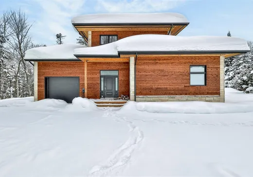 Maison à vendre - 599 Ch. de l'Artisan, Ste-Lucie, J0T 2J0