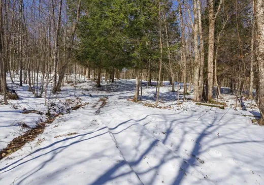 Fermette à vendre - 693Z Route 116, Danville, J0A 1A0