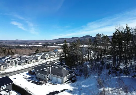 Maison à vendre - 701 Rue Principale, St-Sebastien-De-Frontenac, G0Y 1M0