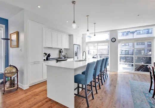 House for sale - 310Z Rue Frédéric-Back, Sainte-Anne-de-Bellevue (Montreal Island), H9X 0B6