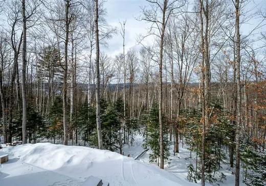 Maison à vendre - 960 Rue des Cimes, Sainte-Adèle, J8B 1M7