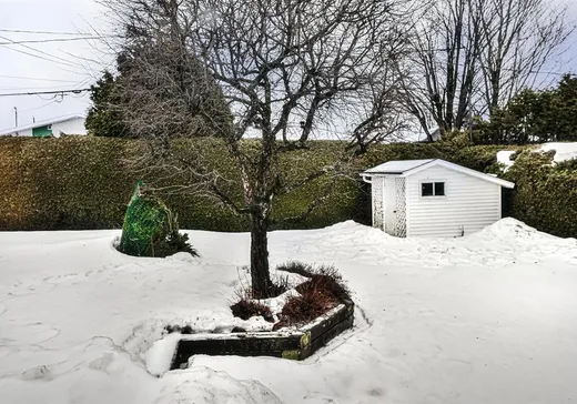 Maison à vendre - 754 13e Avenue, Thetford Mines, G6G 1W3