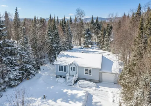 House for sale - 190 Rue Michel, St-Adolphe d'Howard, J0T 2B0