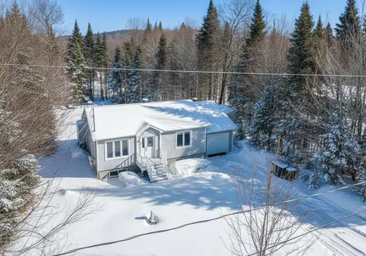 House for sale - 190 Rue Michel, St-Adolphe d'Howard, J0T 2B0