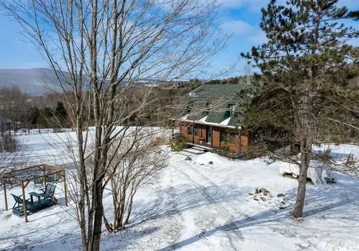 House for sale - 371 3e Rang N., Saints-Martyrs-Canadiens, G0P 1A0