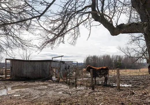 Fermette à vendre - 698Z 6e Rang, Saint-Félix-de-Kingsey, J0B 2T0