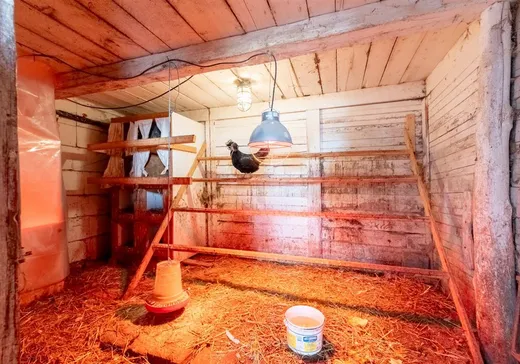 Fermette à vendre - 698Z 6e Rang, Saint-Félix-de-Kingsey, J0B 2T0