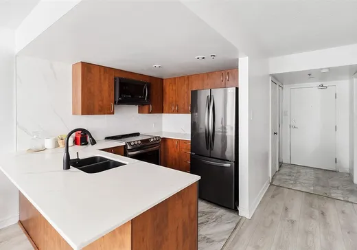 Condo à vendre - 98 Rue Charlotte, App. 460, Montréal (Centreville), H2X 3V2