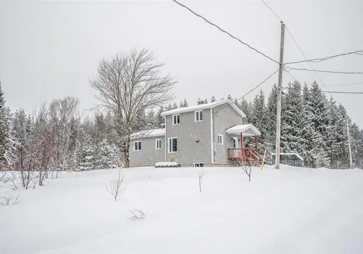 Maison à étages à vendre - 59 Rg St-Charles, Sainte-Sabine-de-Bellechasse, G0R4H0