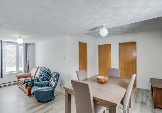 Maison à vendre - 59 Rg St-Charles, Sainte-Sabine-de-Bellechasse, G0R 4H0