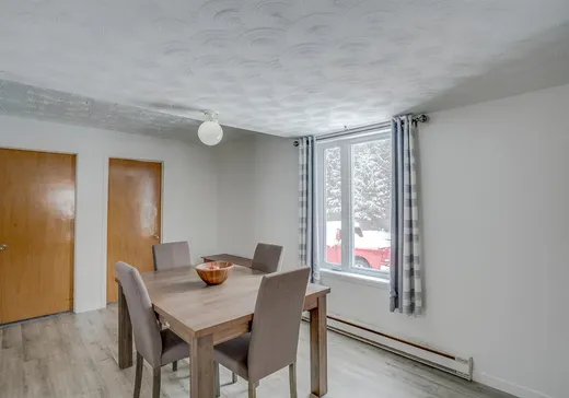 Maison à vendre - 59 Rg St-Charles, Sainte-Sabine-de-Bellechasse, G0R 4H0