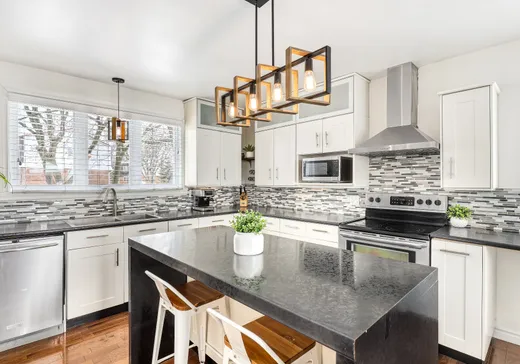 Maison à étages à vendre - 115Z Tsse Jacques-Léonard, Montréal (Centreville), H1A3K2