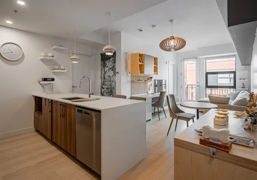 Condo à vendre - 2615 Rue Augustin-Cantin, Montréal (Centreville), H3K 1E1