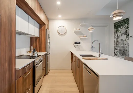 Condo à vendre - 2615 Rue Augustin-Cantin, Montréal (Centreville), H3K 1E1