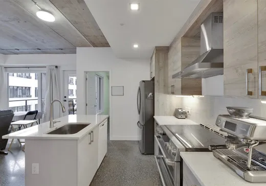 Condo à vendre - 730 Rue Rose-de-Lima, App. 5E, Montréal (Centreville), H4C 2L8
