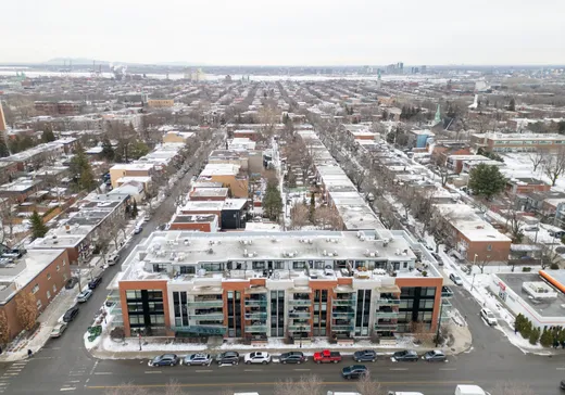 Condo for sale - 3500 Rue Rachel E., Montreal (Rosemont–La Petite-Patrie), H1W 1A6