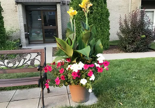 Condo for sale - 319 Route Cameron, App. 24, Sainte-Marie, G6E 3E2