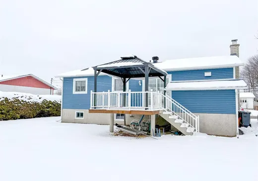 Maison à vendre - 485 Rue Labonté, Acton Vale, J0H 1A0