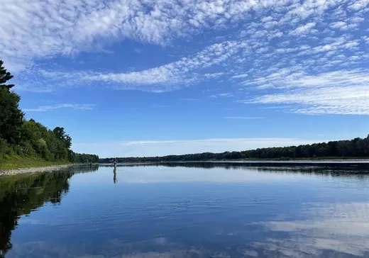 Maison à vendre - 7490 Boul. Allard, Drummondville, J2A 2S8